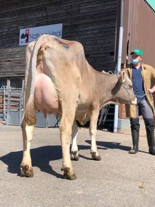 980908f4-5958-4ed2-bc78-fde0abfdb913